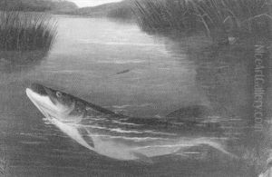 A Pike Caught On A Line by A. Roland Knight