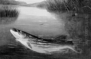 Angling For A Pike Angling For A Pike