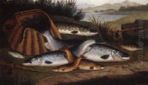 The Day's Catch The Day's Catch
