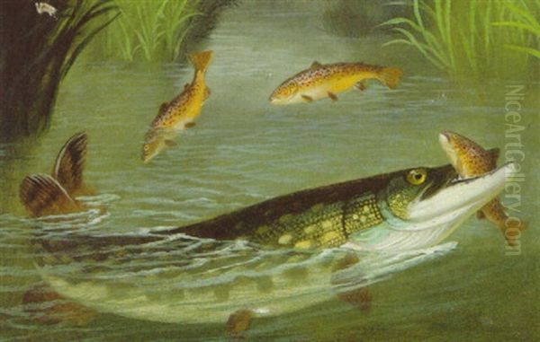 The Poacher - view 1