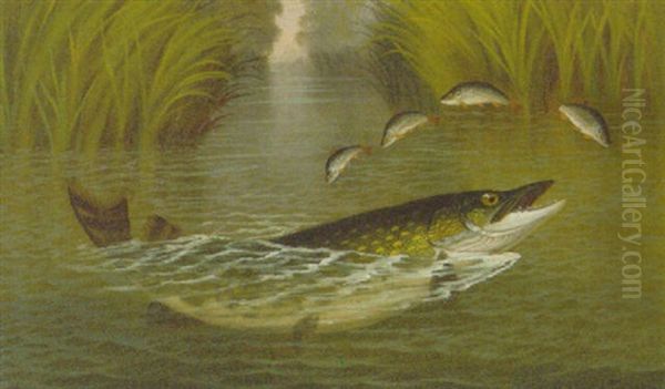 A Pike And Perch - view 1