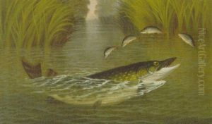 A Pike And Perch