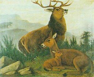 Early Morning In The Highlands by A. Roland Knight