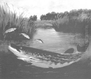The Bass