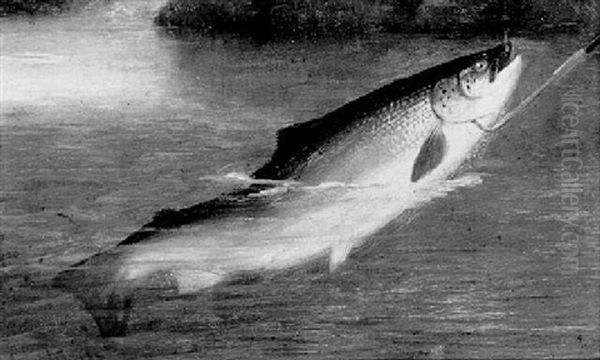 Landing A Salmon - view 1