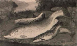 Salmon And Trout by A. Roland Knight