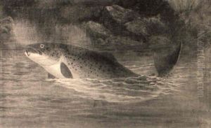 Trout by A. Roland Knight