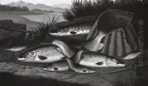 Nature Morte, Fisk Pa En S+bred Nature Morte, Fisk Pa En S+bred