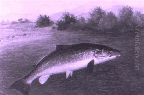 Trout Leaping - view 1