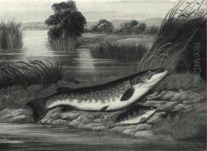 A Pike And A Perch On A River Bank by A. Roland Knight