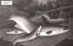 A Tribute From The Sharra by A. Roland Knight