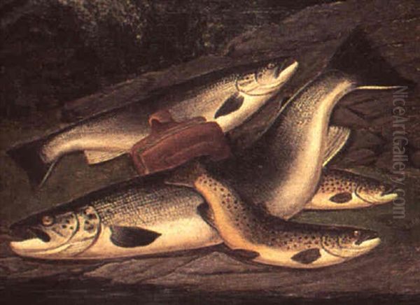Still Life Of Salmon And Brown Trout On A Bank - view 1