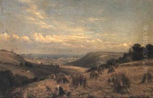 A Cornfield Near Runswick