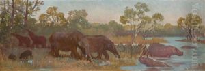 Elephants And Rhinos