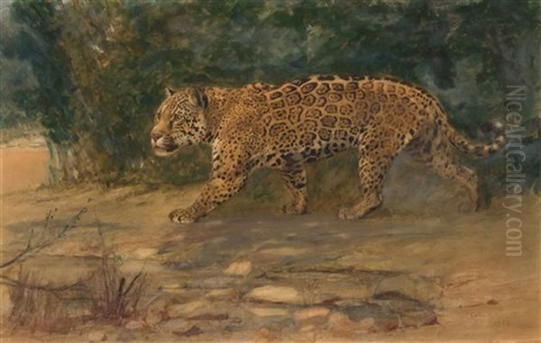 Leopard - view 1
