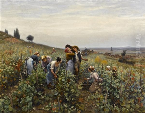 La Vendange - view 1