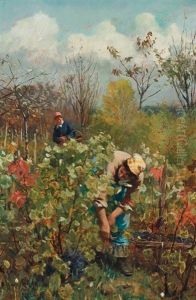 Harvesting Grapes