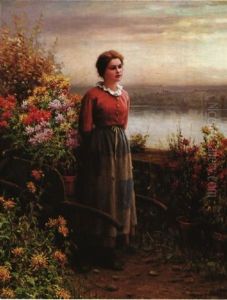 Soir D'automne
