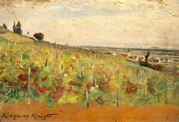 Les Vignes - view 1