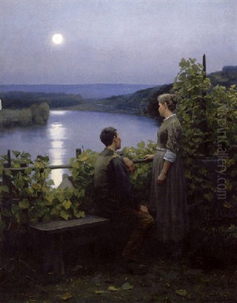 A Summer Evening - view 1