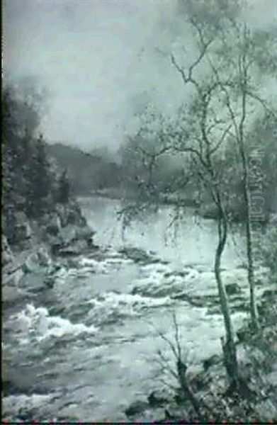 River Landscape - view 1