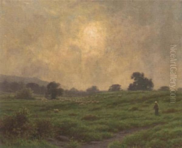 Morning Mist - view 1