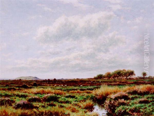 On Arthur's Moor - view 1