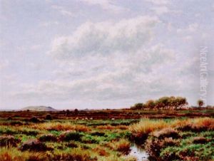 On Arthur's Moor