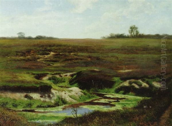 Autumn Marshes - view 1