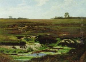Autumn Marshes