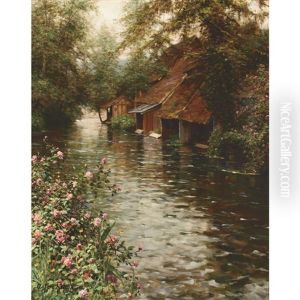 Quiet Summer Stream Quiet Summer Stream