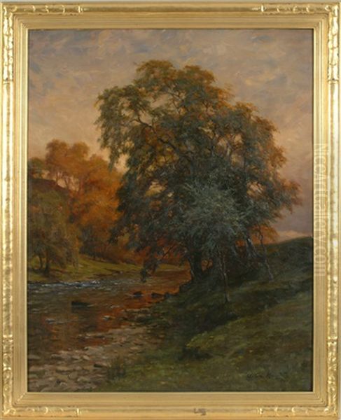 Stream Landscape - view 1