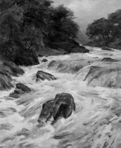The Rapids The Rapids