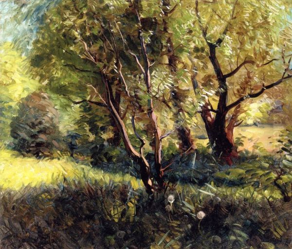 A Thick Grove - view 1