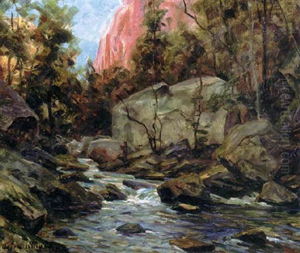 Yosemite - view 1