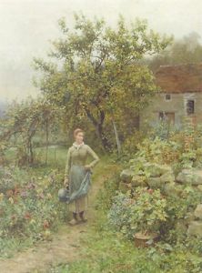 The Water Gatherer