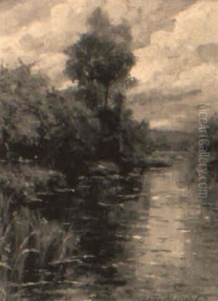 Woodland Stream - view 1