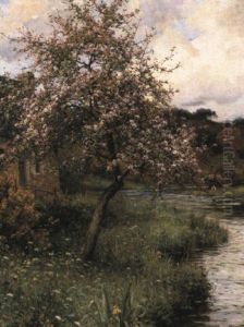 A Blossoming Cherry Tree by Louis Aston Knight