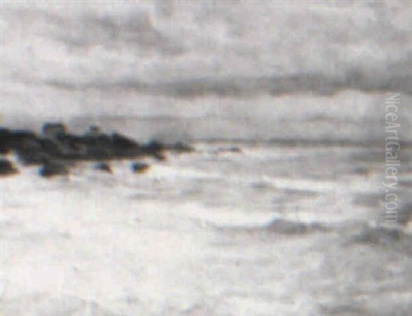 Biarritz Seashore - view 1