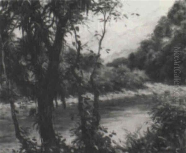Jamaican Landscape - view 1