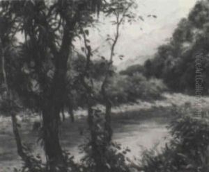 Jamaican Landscape