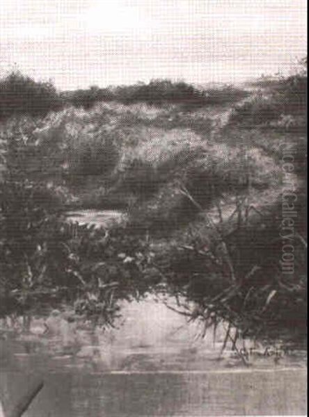 Path To The Pond - view 1