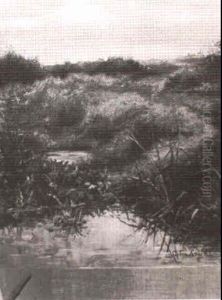 Path To The Pond