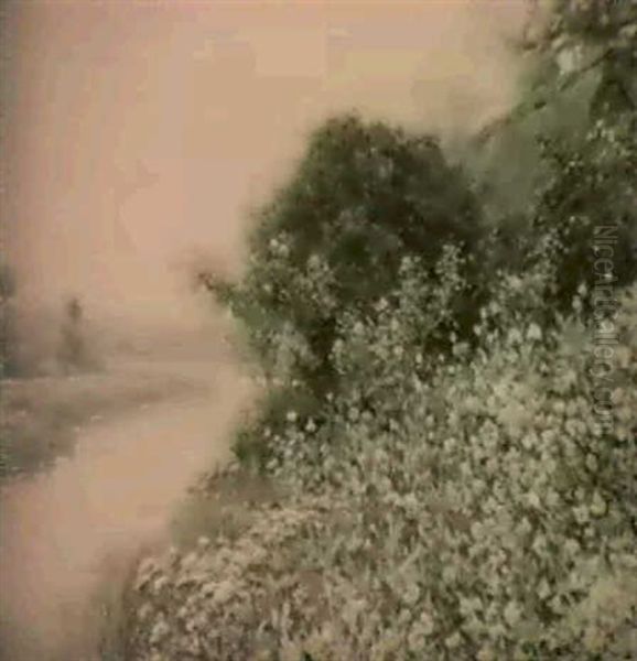 Le Jardin Fleuri - view 1