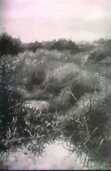 Etang Pres D'un Village - view 1