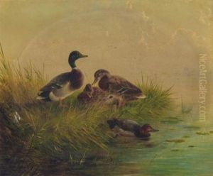 Ducks On A Riverbank by August Knip