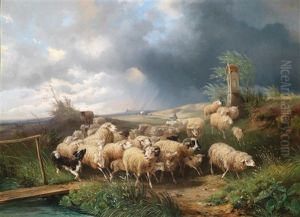 Schafstrieb Vor Dem Gewitter