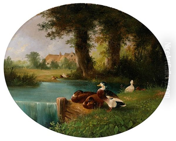 Enten An Einem Teich, Im Hintergrund Reetgedecktes Gehoft - view 1