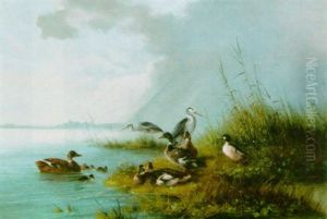 Ducks And Herons By The Water