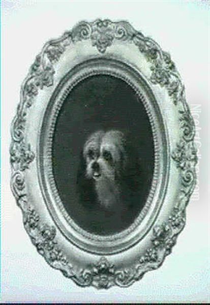 Chiens De Salons - view 1